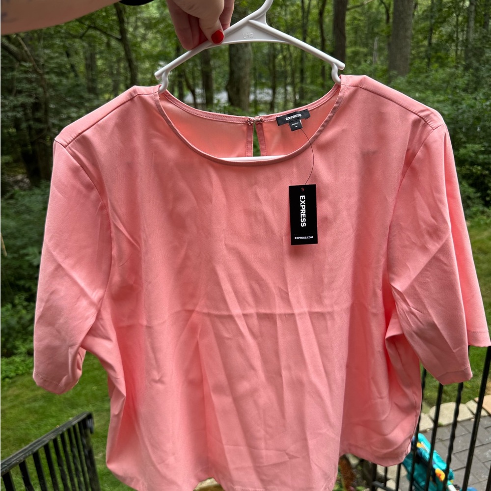 Express Women's Blush Cropped Blouse